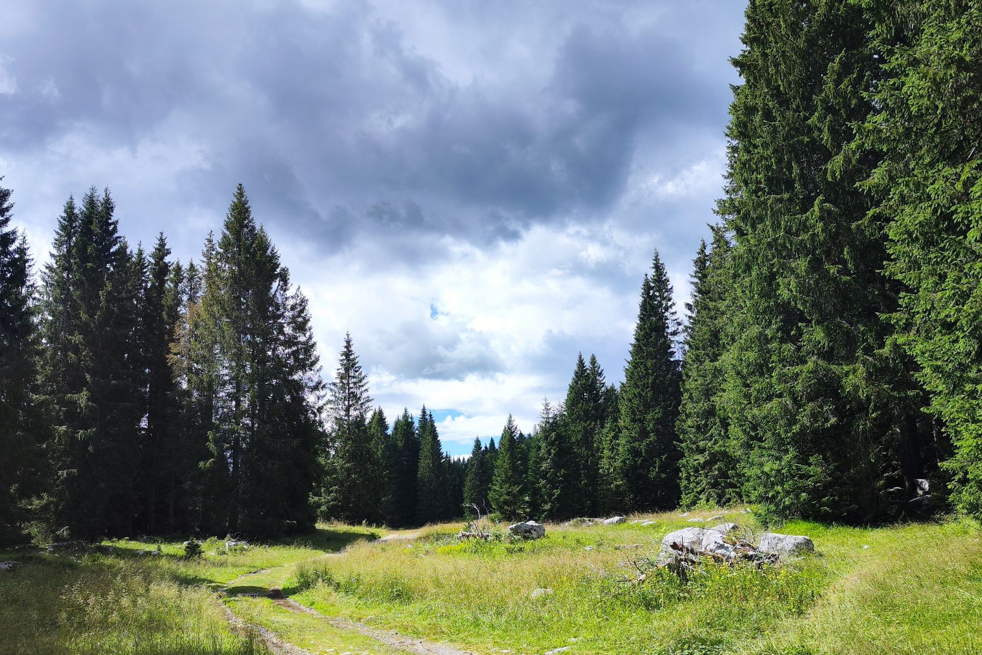 La primavera sull'altopiano di Asiago