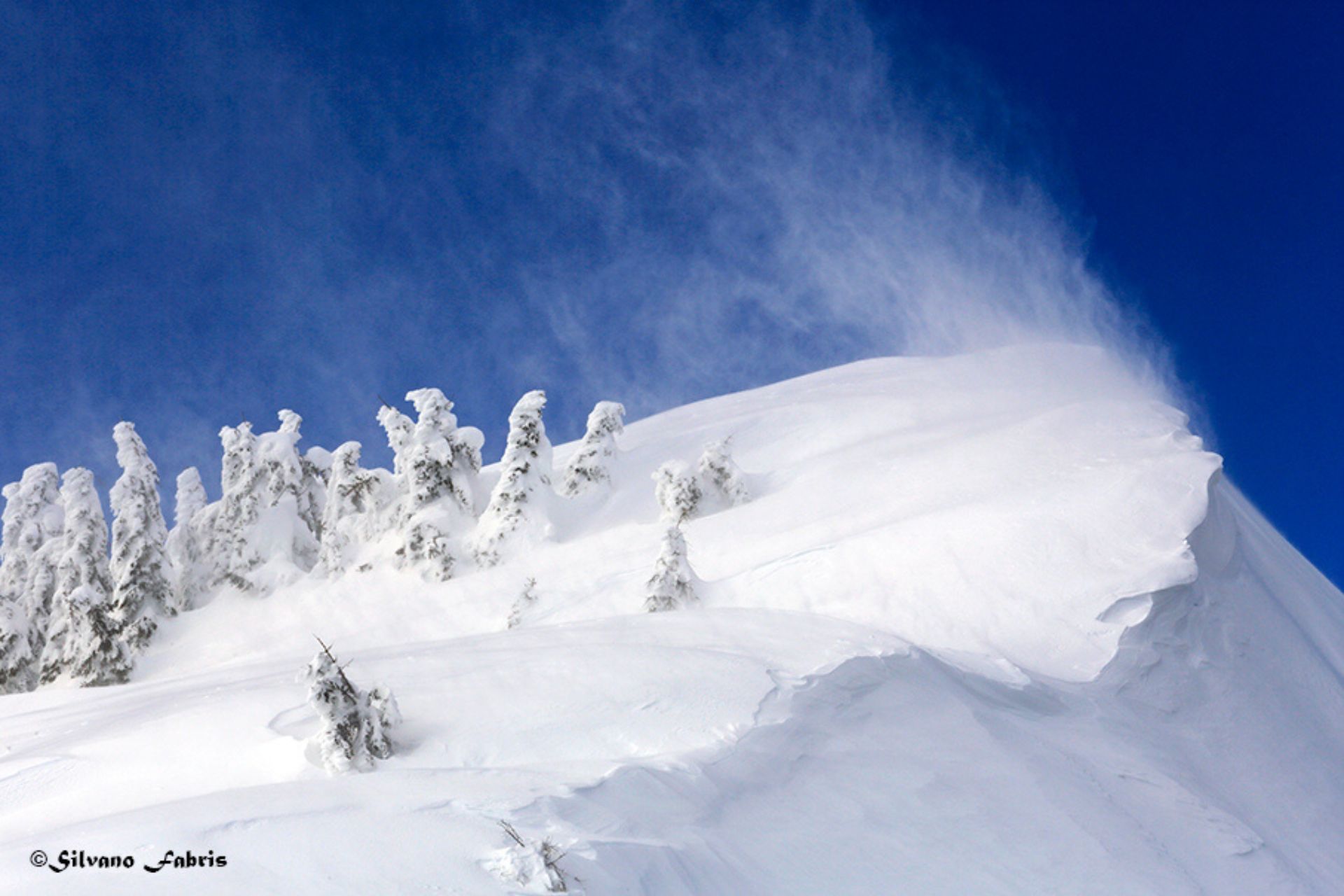 Winter auf der Hochebene von Asiago