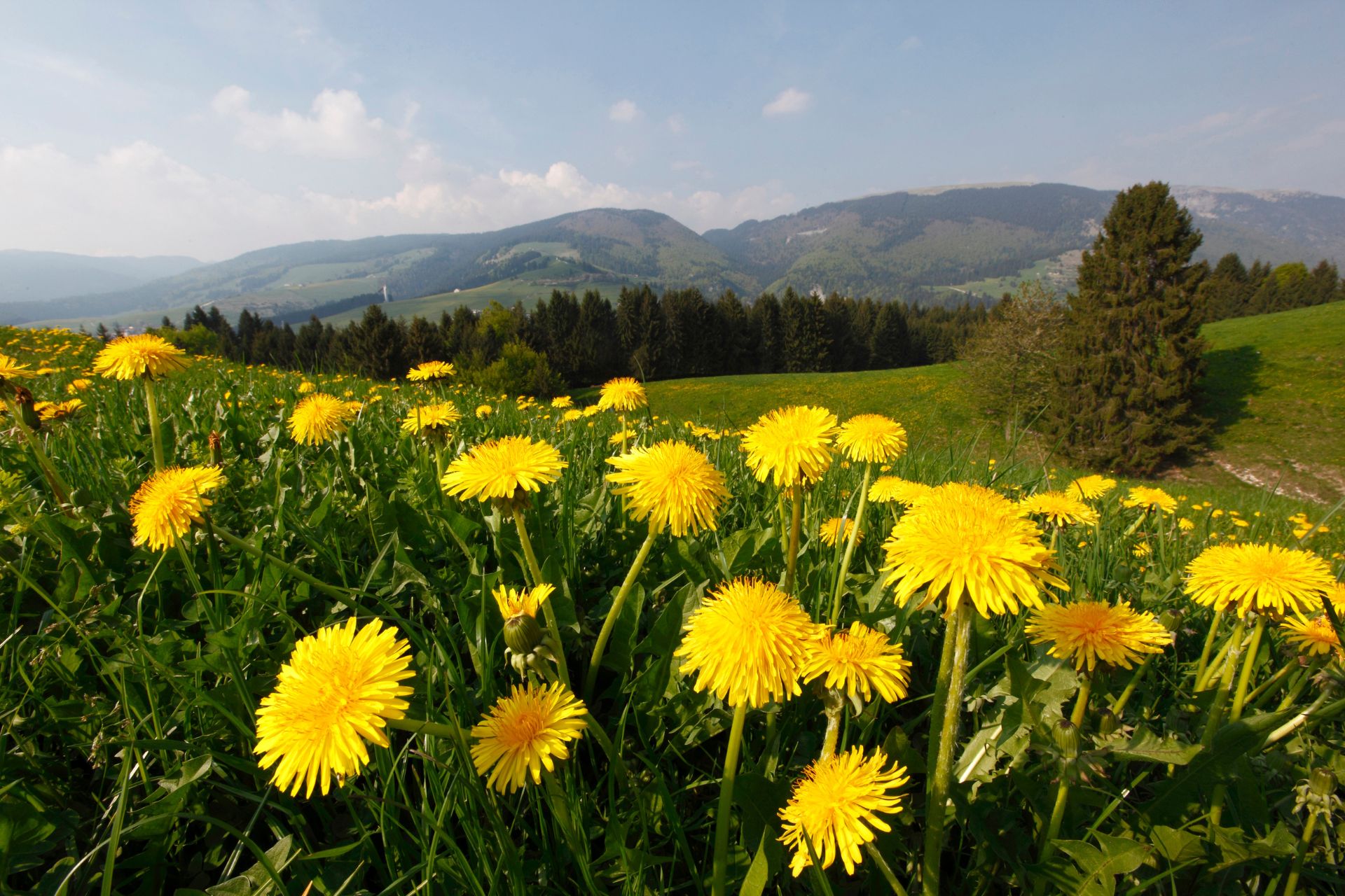 Manifestazioni primavera/estate